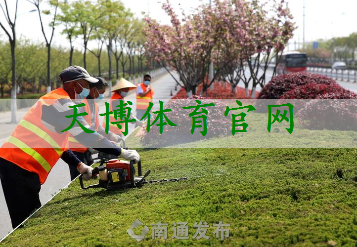 徐州櫻花綠化工程項(xiàng)目